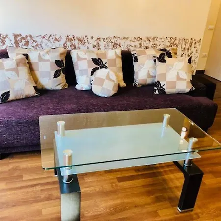 Joy Republicii 19 아파트 티미쇼아라