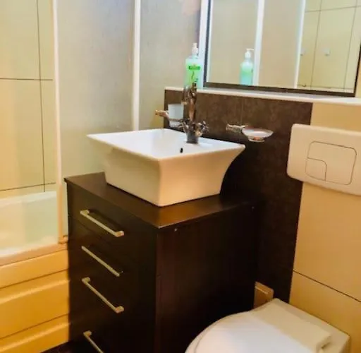 Joy Republicii 19 Apartmán Temešvár